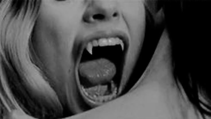 Site Banner